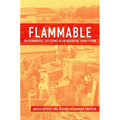 Flammable: Environmental Suffering in an Argentine Shantytown