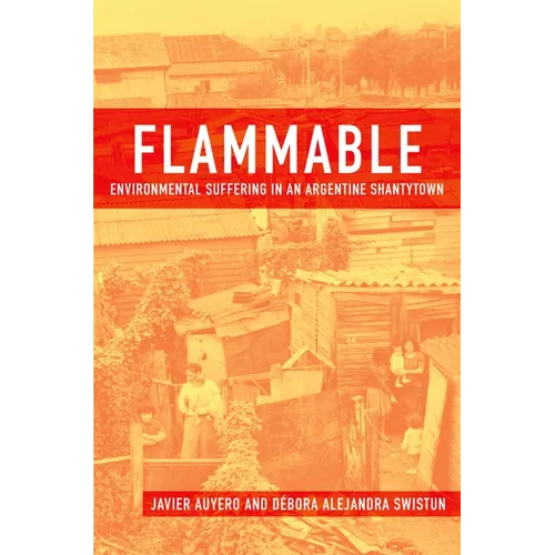 Flammable: Environmental Suffering in an Argentine Shantytown