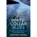 White-Collar Blues: The Making of the Transnational Turkish Middle Class
