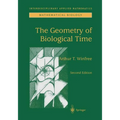 The Geometry of Biological Time