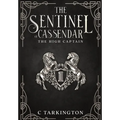 The Sentinel of Cassendar: The High Captain