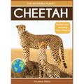 Cheetah: Fascinating Animal Facts for Kids