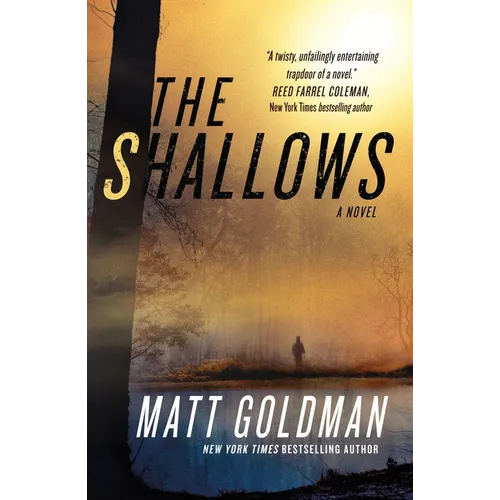 The Shallows: A Nils Shapiro Novel