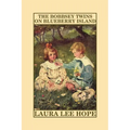The Bobbsey Twins on Blueberry Island