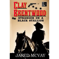 Stranger on a Black Stallion