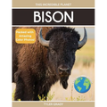 Bison: Fascinating Animal Facts for Kids