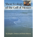 Shore Ecology of the Gulf of Mexico