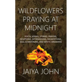 Wildflowers Praying at Midnight