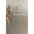 Miracle of Days