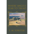Where Angels Fear to Tread