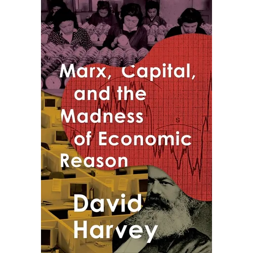 Marx, Capital, and the Madness of Economic Reason