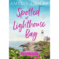 Spotted at Lighthouse Bay