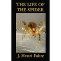 The Life of the Spider