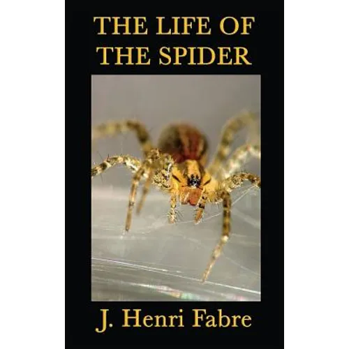 The Life of the Spider