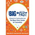 Think Big, Start Small, Move Fast: A Blueprint for Transformation from the Mayo Clinic Center for Innovation