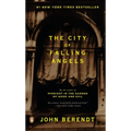 The City of Falling Angels