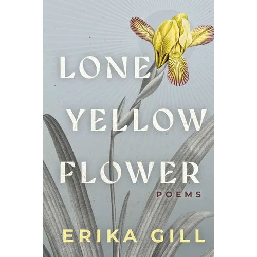 Lone Yellow Flower