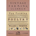 Egg Farming - A Practical Reliable Manual Upon Producing Eggs And Poultry For Market As A Profitable Business Enterprise