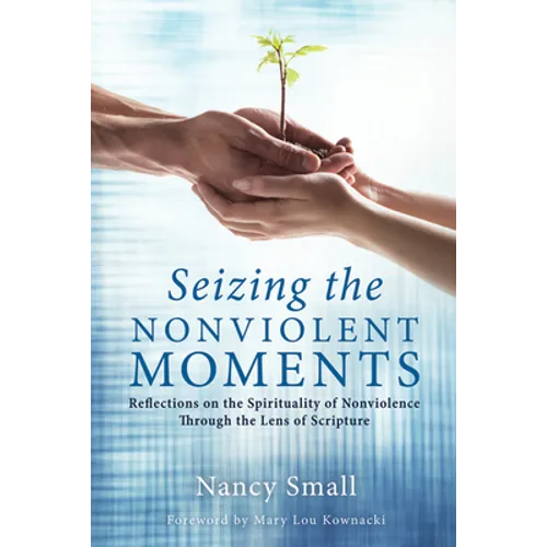 Seizing the Nonviolent Moments: Reflections on the Spirituality of Nonviolence Through the Lens of Scripture