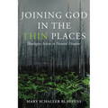 Joining God in the Thin Places: Theologies Active in Natural Disaster