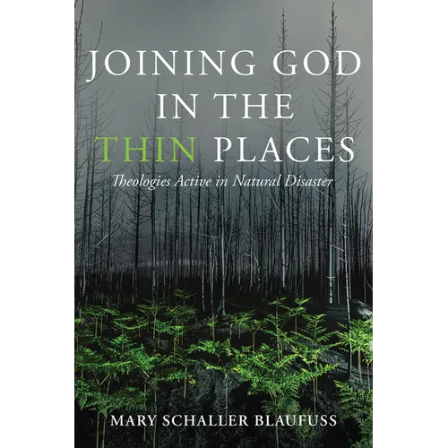 Joining God in the Thin Places: Theologies Active in Natural Disaster