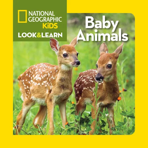 National Geographic Kids Look & Learn: Baby Animals
