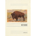 Vintage Lined Notebook Greetings from Idaho Springs