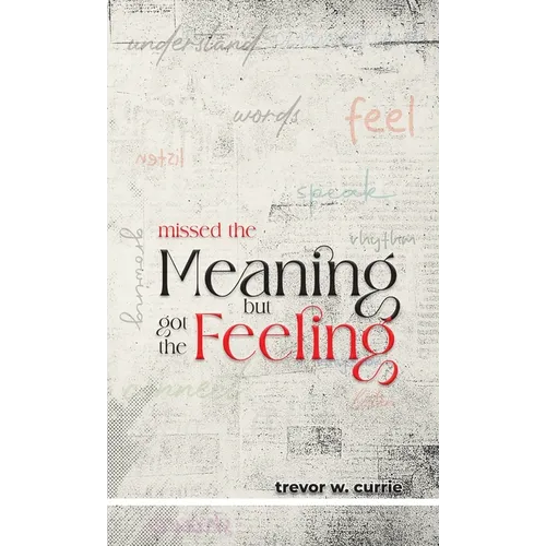 missed the meaning, but got the feeling