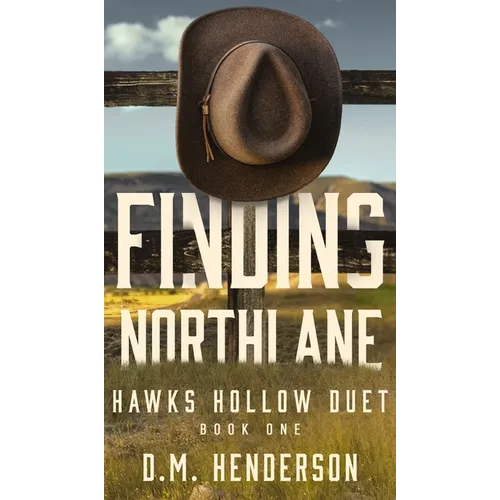 Finding Northlane: A MUST-READ heartfelt and steamy strangers-to-lovers, small-town, single dad, age gap, cowboy romance