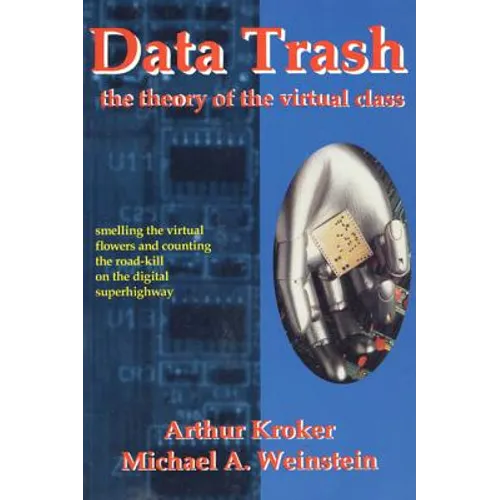 Data Trash: The Theory of Virtual Class