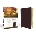 Amplified Bible-Am-Large Print: Captures the Full Meaning Behind the Original Greek and Hebrew