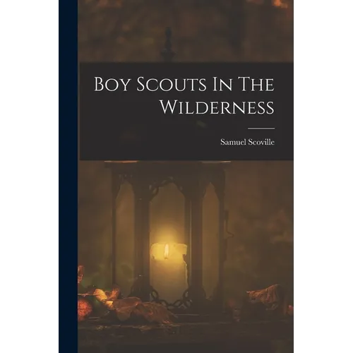 Boy Scouts In The Wilderness