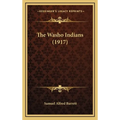 The Washo Indians (1917)