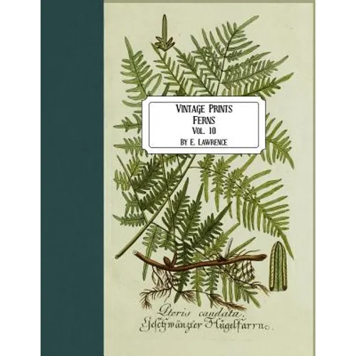Vintage Prints: Ferns: Vol. 10