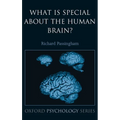 What Is Special about the Human Brain?
