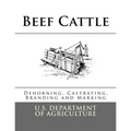 Beef Cattle: Dehorning, Castrating, Branding and Marking