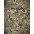 Pathfinder Operations: FM 3-21.38