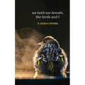we held our breath, the birds and I