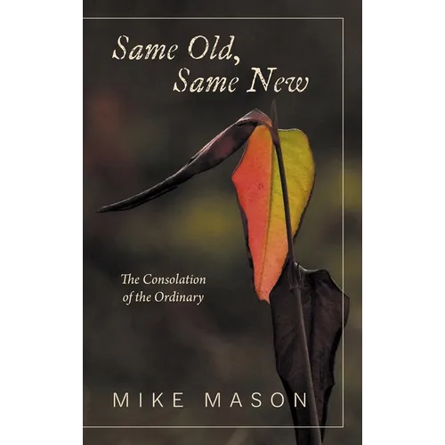 Same Old, Same New: The Consolation of the Ordinary