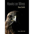 Hawks on Wires: Poems, 2005-2010
