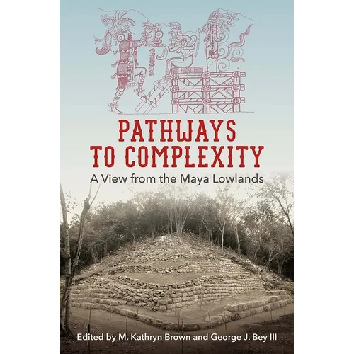 Pathways to Complexity: A View from the Maya Lowlands