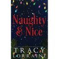 Naughty & Nice: A MFM Snowed-in Christmas Romance