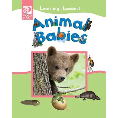Animal Babies