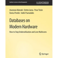 Databases on Modern Hardware