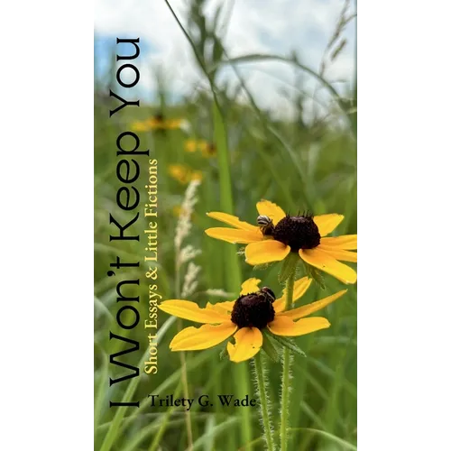 I Won't Keep You: Short Essays & Little Fictions