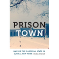 Prison Town: Making the Carceral State in Elmira, New York