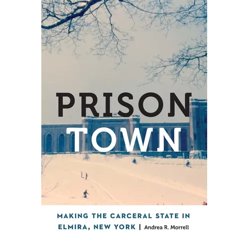 Prison Town: Making the Carceral State in Elmira, New York