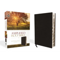 Amplified-Am: Captures the Full Meaning Behind the Original Greek and Hebrew