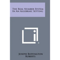 The Real Number System in an Algebraic Setting