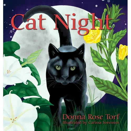 Cat Night